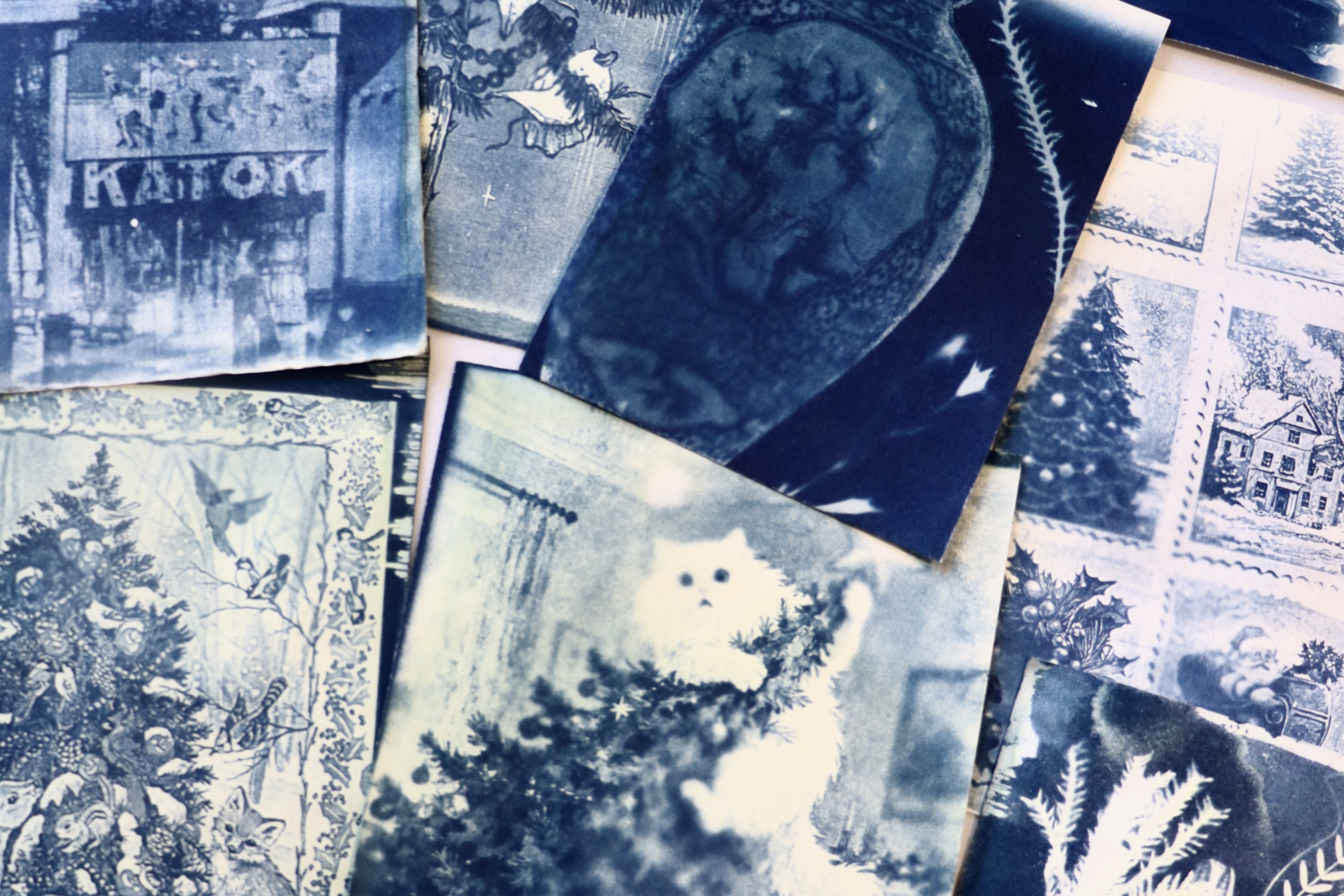 Мастер-класс «Цианотипия. Создание панно» 