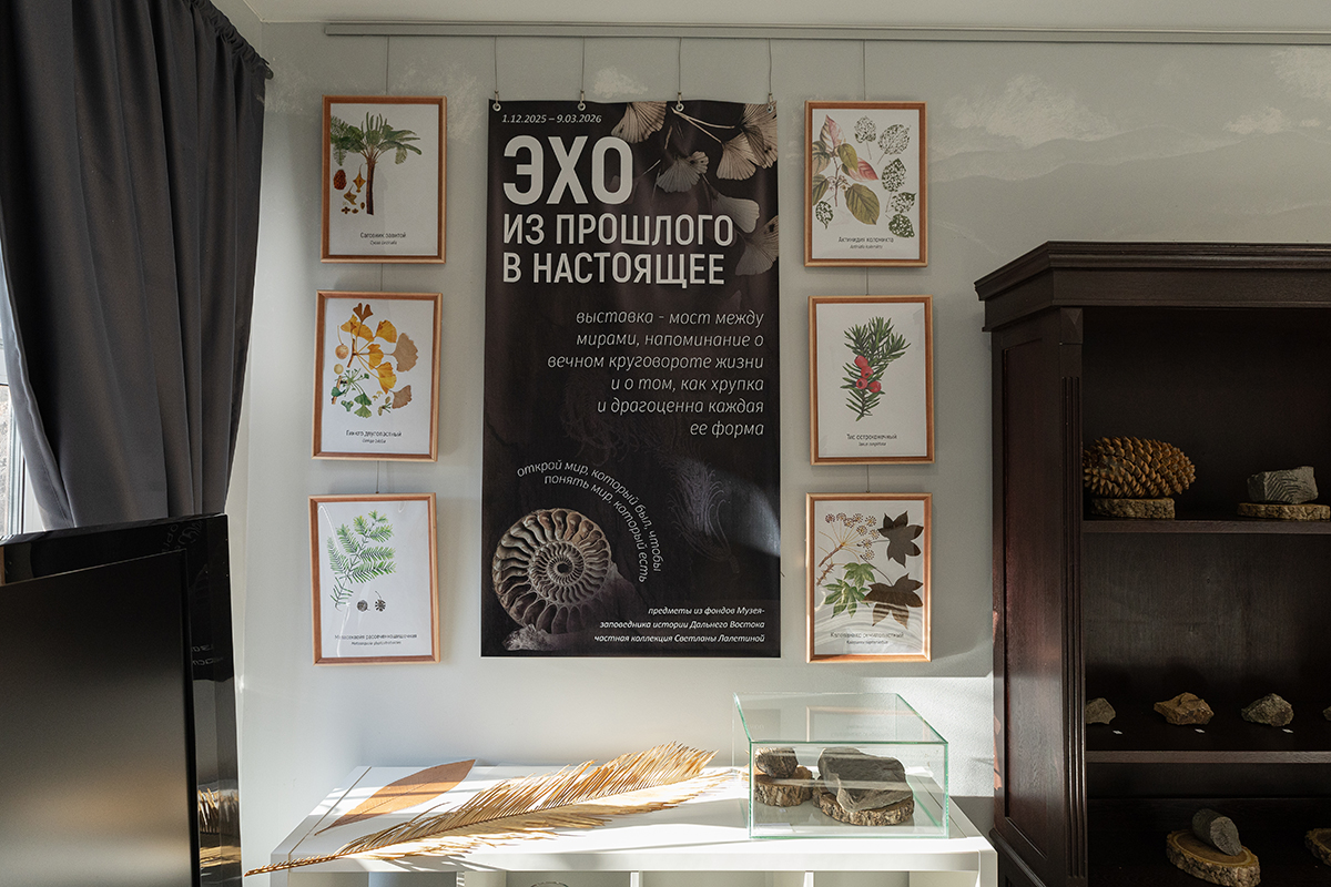 Выставка «Эхо из прошлого в настоящее»: мост через миллионы лет в мир древних обитателей Приморья