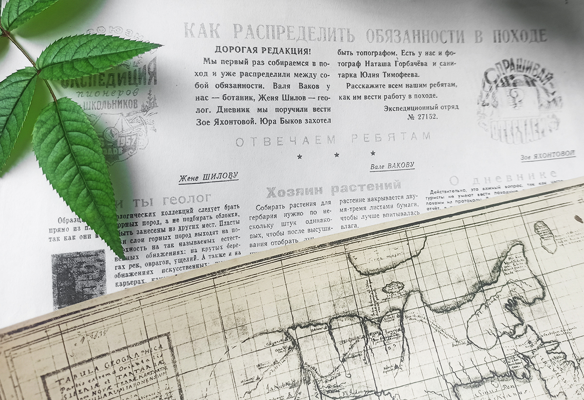 Познавательная программа «Лесной университет»