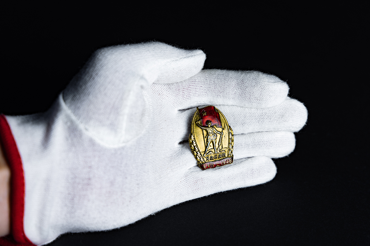 Нагрудный знак СССР «Участнику Хасанских боёв, 1938 г.» 